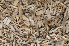biomass boilers Pen Rhos